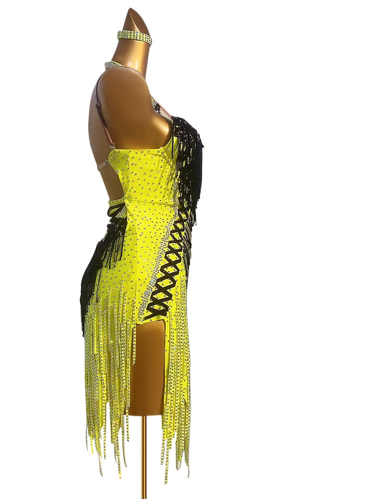 Custom Size Red Yellow Black Blue Fringe Latin Dance Competition Dresses for Womeng Girls Black Pool Salsa Rumba Cha Cha Jive Dancing Costumes