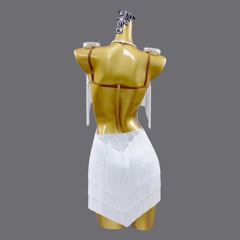 Competition White Fringed Latin Dance Dresses for Women Girls Crystal Stones Salsa Rumba Chacha Party Performance Costumes