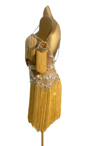 Custom Size Gold Fringe Rhinestones Latin Dance Dresses for Women Girls  Salsa Rumba Rhythm Blackpool Performance Costumes