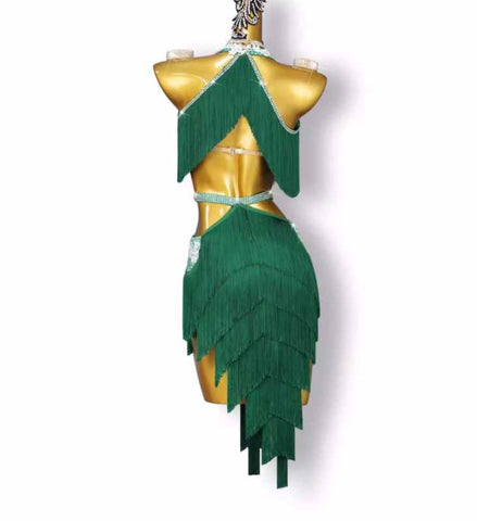 Women Girls Dark Green Competition Fringe Latin Dance Dresses Long Length Irregular Skirts Salsa Rumba Chacha Samba Dance Costumes for Female