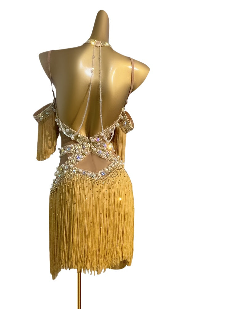 Custom Size Gold Fringe Rhinestones Latin Dance Dresses for Women Girls  Salsa Rumba Rhythm Blackpool Performance Costumes