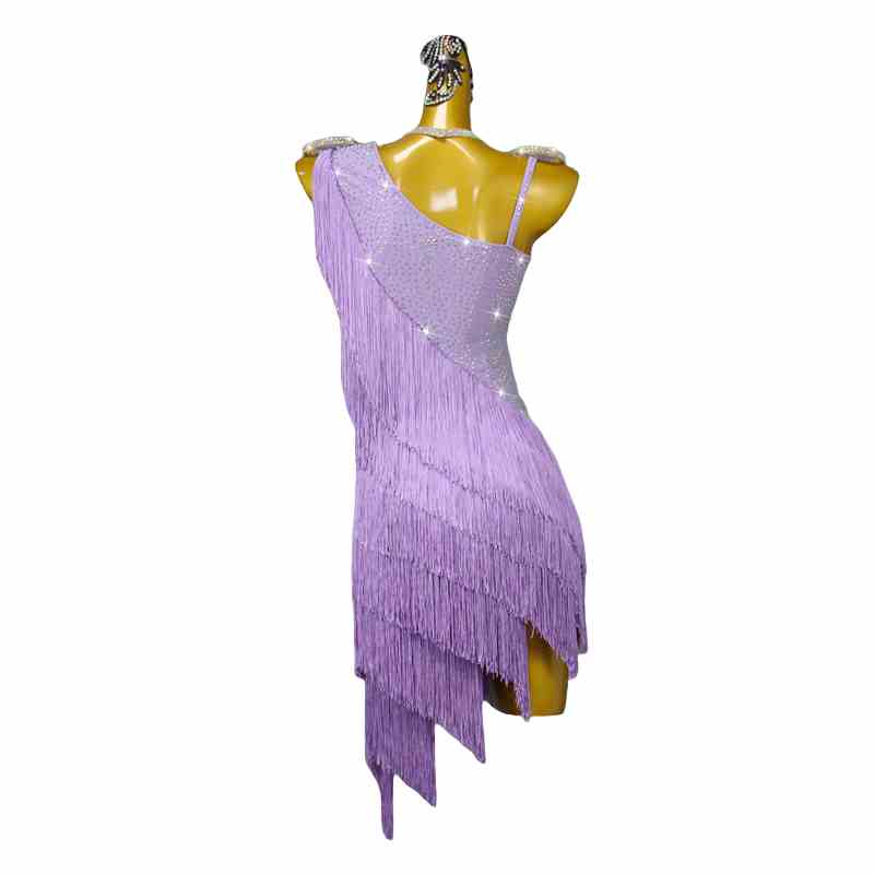 Lavender Purple Fringed Latin Dance Dresses for Women Girls One Shoulder Salsa Rumba Chacha Contest Dance Costume