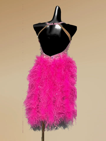 Custom Size Pink Feather Rhinestones Latin Dance Competition Dresses for Women Girls Salsa Rumba Chacha Latin Performance Clothing