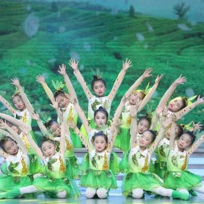 Children's Green Flowers Jazz Dance Dresses Modern Dance Princess Dress Kids Chorus Performance Costumes Choir Dancing Skirts for Girls