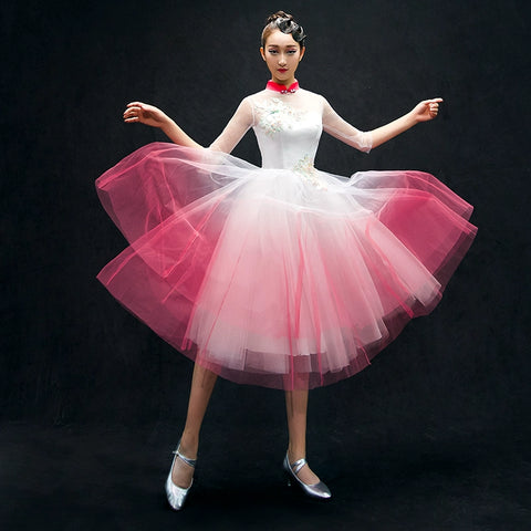 Chinese Folk Dance Costumes Opening Dance Dress chorus costume long skirt adult woman in Classical Dance Costume - 