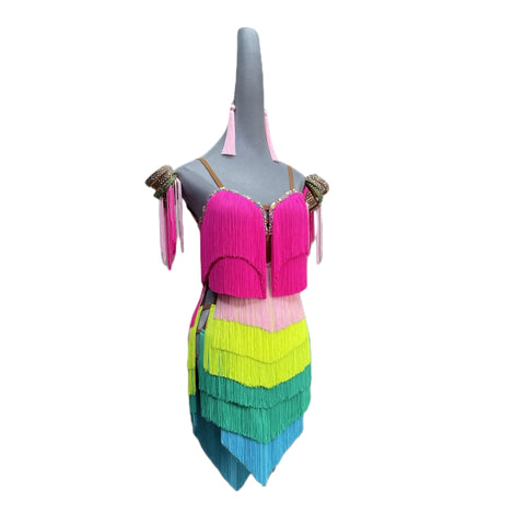 Custom Sizs Colorful Fringed Latin Danced Dresses for Women Girls Kids Latin Dance Rainbow Tassels Skirts Salsa Rumba Chacha Performance Outfits