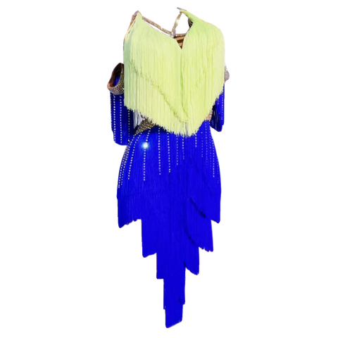 Custom Size Blue Green Fringe Competition Latin Dance Dresses for Women Girls Salsa Rumba Chacha Latin Solo Dance Clothing