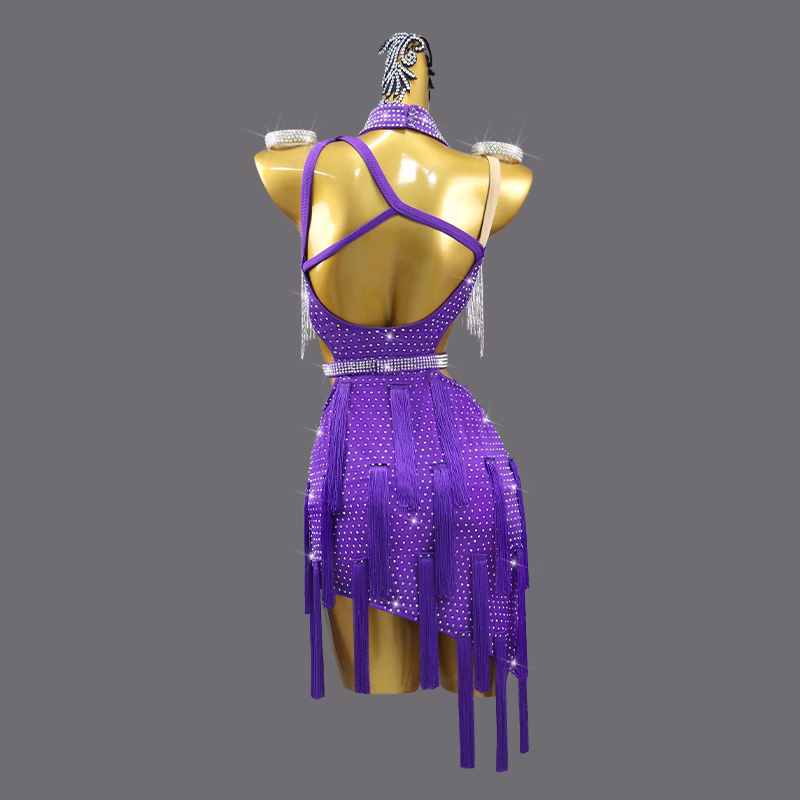 Violet with Silver Fringe Latin Dance Dresses for Girls Women Rhinestones Salsa Rumba Chacha  Professional Dance Stage Performance Costume