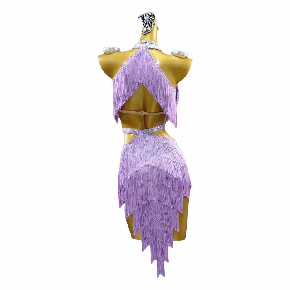 Lavender Light Purple Fringe Professional Latin Dance Dress for Women Girls Salsa Rumba Chacha Backpool Dancing Costumes for Female